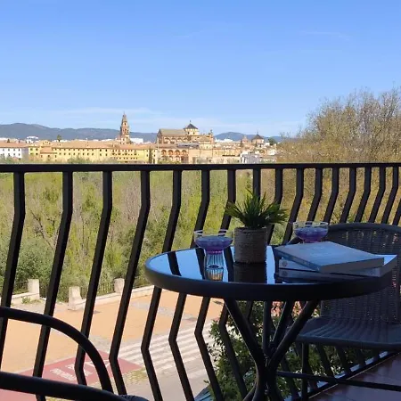 Vistas A La Mezquita Córdoba