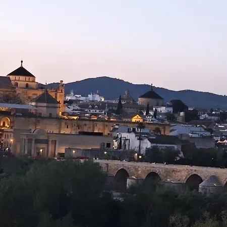 Vistas A La Mezquita * Córdoba